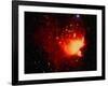 Stars and Nebula-Terry Why-Framed Photographic Print