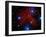 Stars and Nebula-Terry Why-Framed Premium Photographic Print