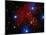 Stars and Nebula-Terry Why-Mounted Premium Photographic Print