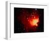 Stars and Nebula-Terry Why-Framed Photographic Print