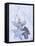 Stars and Silver Angel on Snowy Branch-null-Framed Stretched Canvas