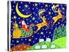 Stars and Snowfall-Cathy Baxter-Stretched Canvas