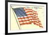 Stars and Stripes Forever, Flag-null-Framed Art Print