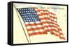 Stars and Stripes Forever, Flag-null-Framed Stretched Canvas
