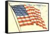 Stars and Stripes Forever, Flag-null-Framed Stretched Canvas