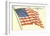 Stars and Stripes Forever, Flag-null-Framed Art Print