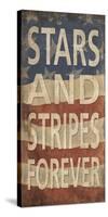 Stars and Stripes Forever-Sparx Studio-Stretched Canvas