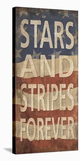 Stars and Stripes Forever-Sparx Studio-Stretched Canvas