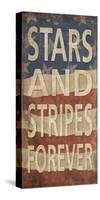 Stars and Stripes Forever-Sparx Studio-Stretched Canvas