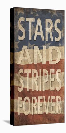 Stars and Stripes Forever-Sparx Studio-Stretched Canvas