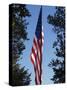 Stars and Stripes, Liberty Island, New York City, New York, United States of America, North America-Amanda Hall-Stretched Canvas