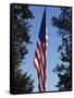 Stars and Stripes, Liberty Island, New York City, New York, United States of America, North America-Amanda Hall-Framed Stretched Canvas