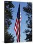 Stars and Stripes, Liberty Island, New York City, New York, United States of America, North America-Amanda Hall-Stretched Canvas