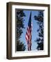 Stars and Stripes, Liberty Island, New York City, New York, United States of America, North America-Amanda Hall-Framed Photographic Print