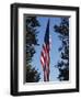 Stars and Stripes, Liberty Island, New York City, New York, United States of America, North America-Amanda Hall-Framed Photographic Print