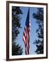 Stars and Stripes, Liberty Island, New York City, New York, United States of America, North America-Amanda Hall-Framed Photographic Print