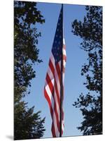 Stars and Stripes, Liberty Island, New York City, New York, United States of America, North America-Amanda Hall-Mounted Photographic Print