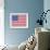 Stars and Stripes-Ben James-Framed Giclee Print displayed on a wall