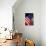 Stars and Stripes-Craig Howarth-Photographic Print displayed on a wall