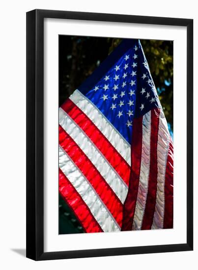 Stars and Stripes-Craig Howarth-Framed Photographic Print