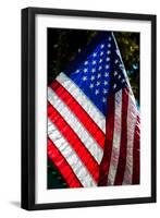 Stars and Stripes-Craig Howarth-Framed Photographic Print