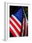 Stars and Stripes-Craig Howarth-Framed Photographic Print