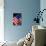 Stars and Stripes-Craig Howarth-Stretched Canvas displayed on a wall