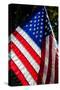 Stars and Stripes-Craig Howarth-Stretched Canvas
