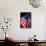 Stars and Stripes-Craig Howarth-Framed Photographic Print displayed on a wall