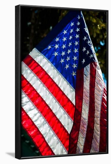 Stars and Stripes-Craig Howarth-Framed Photographic Print