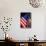 Stars and Stripes-Craig Howarth-Framed Photographic Print displayed on a wall