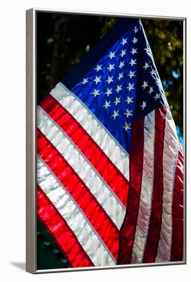 Stars and Stripes-Craig Howarth-Framed Photographic Print