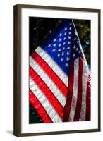 Stars and Stripes-Craig Howarth-Framed Photographic Print