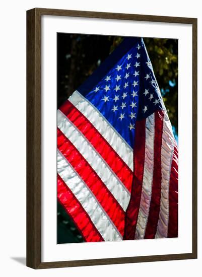 Stars and Stripes-Craig Howarth-Framed Photographic Print