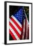 Stars and Stripes-Craig Howarth-Framed Photographic Print