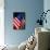 Stars and Stripes-Craig Howarth-Mounted Photographic Print displayed on a wall