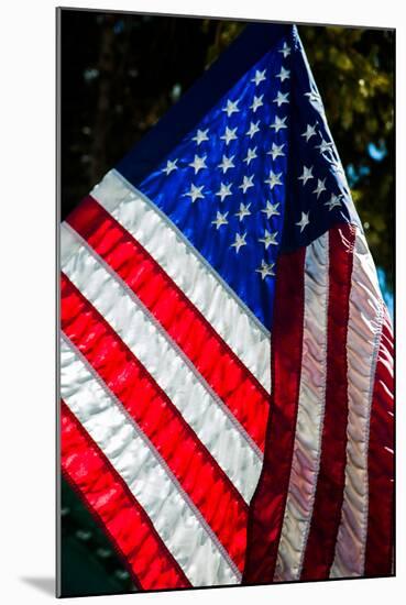 Stars and Stripes-Craig Howarth-Mounted Photographic Print