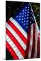 Stars and Stripes-Craig Howarth-Mounted Photographic Print