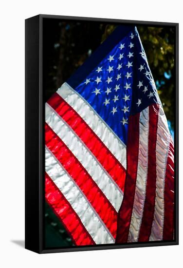 Stars and Stripes-Craig Howarth-Framed Stretched Canvas