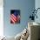 Stars and Stripes-Craig Howarth-Stretched Canvas displayed on a wall