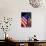 Stars and Stripes-Craig Howarth-Stretched Canvas displayed on a wall