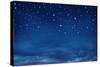 Stars in the Night Sky-egal-Stretched Canvas