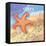 Stars in the Surf-Nancy Archer-Framed Stretched Canvas