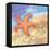 Stars in the Surf-Nancy Archer-Framed Stretched Canvas