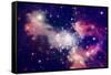 Stars of a Planet and Galaxy in a Free Space-Anatolii Vasilev-Framed Stretched Canvas