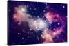 Stars of a Planet and Galaxy in a Free Space-Anatolii Vasilev-Stretched Canvas