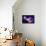 Stars of a Planet and Galaxy in a Free Space-Anatolii Vasilev-Framed Stretched Canvas displayed on a wall