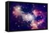 Stars of a Planet and Galaxy in a Free Space-Anatolii Vasilev-Framed Stretched Canvas