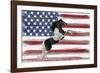 Stars, Stripes And Stallions-Mark Chandon-Framed Giclee Print