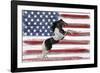 Stars, Stripes And Stallions-Mark Chandon-Framed Giclee Print